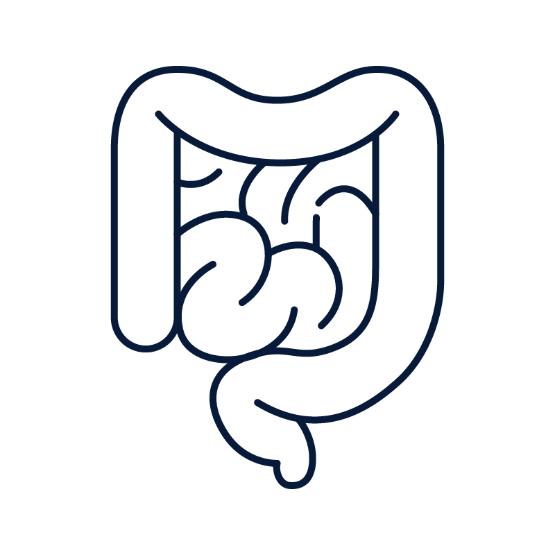 intestines