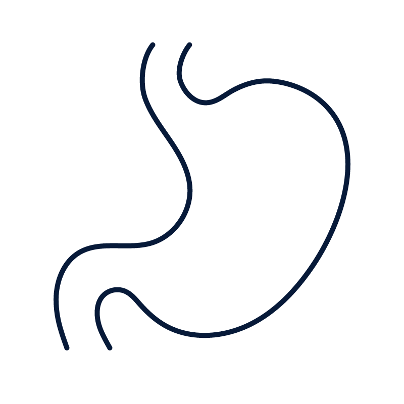 stomach